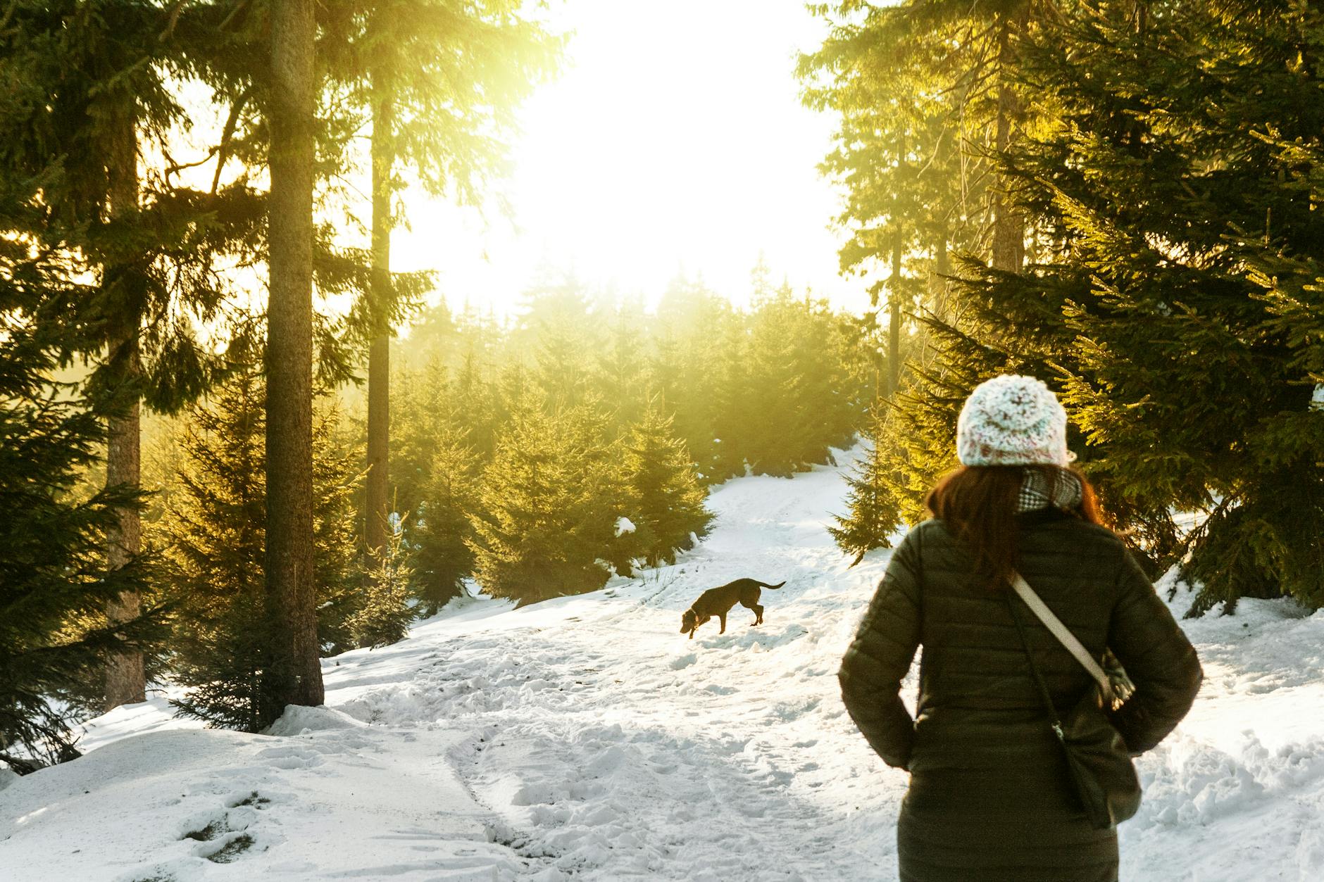 rear view of woman in snow covered forest